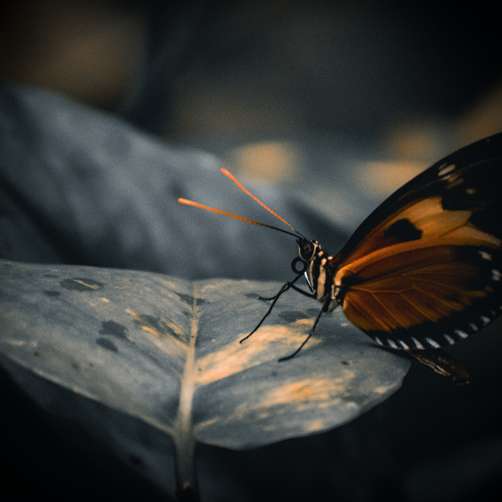 選擇一家適合您的網頁設計公司